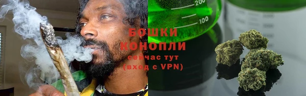 соль ск Богородицк