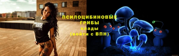 mix Богородск