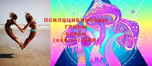 mix Богородск