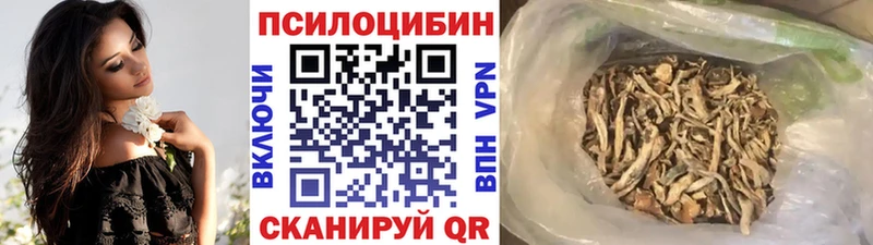 наркошоп  Екатеринбург  OMG зеркало  Галлюциногенные грибы GOLDEN TEACHER 